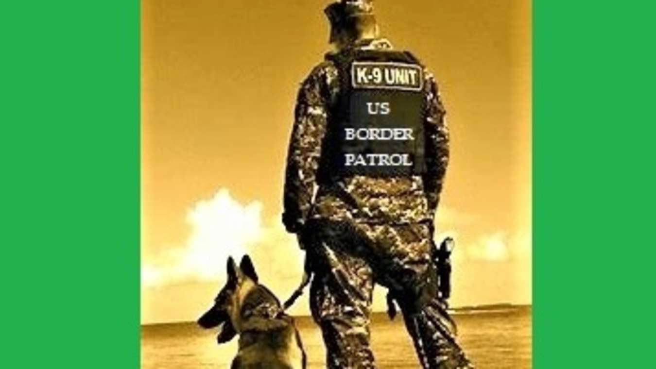 K9 units patrolling US-Mexico border | The Spoof