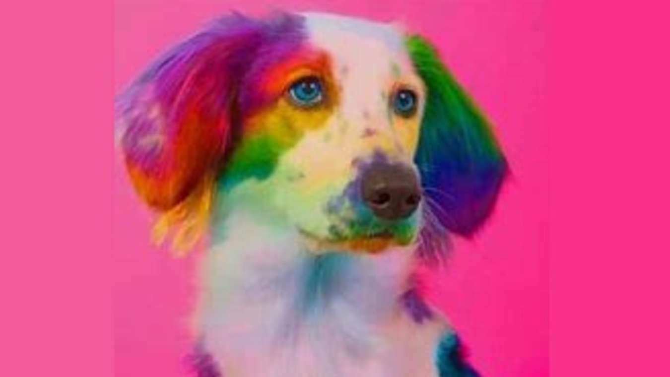 Rainbow-colored dogs found near nuclear power plant | The Spoof