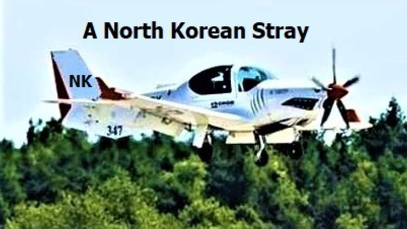 North Korean plane flies over Seattle and gets blasted to hell The Spoof