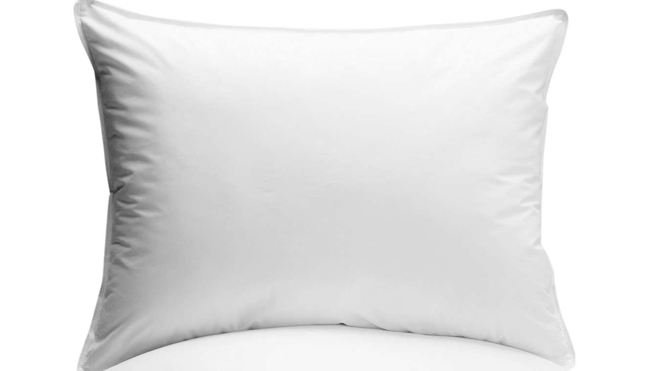 My Pillow To Go Bankrupt Because of It's Asshole CEO ...