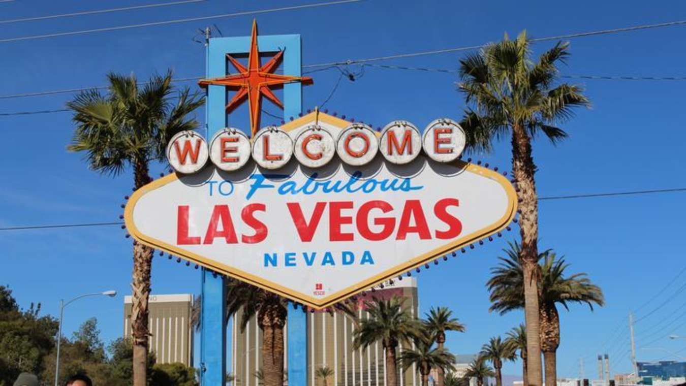 the-latest-las-vegas-odds-on-trump-getting-re-elected-the-spoof
